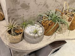 -红蕃干锅·脆皮香辣虾(南屏街金鹰店)