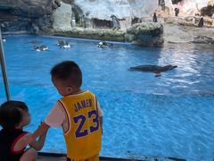 -帝企鹅自助餐厅•儿童岛•真企鹅(长隆企鹅酒店)