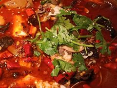 -绿茶餐厅(华联万柳店)