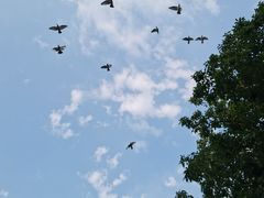 -前门兵部洼胡同停车场