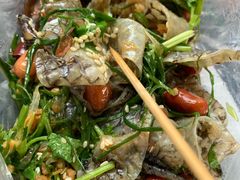 -无影脚佛山陈氏盲公丸始创店(飞鸿街店)