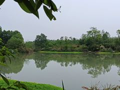 -桤木河湿地公园