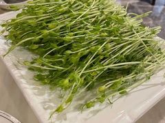 -美姿水荟美食水疗
