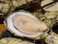 -烧蠔帮·生蚝海鲜牌档(观海店)