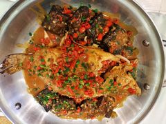 -饭怕鱼·黄焖鲟龙鱼(湖大店)