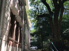 -香港大学