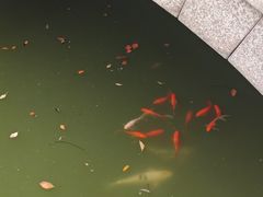 -古寿圣寺