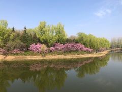 -北京奥林匹克公园