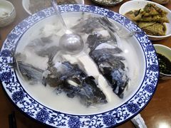 -全乐鱼馆·淳牌有机鱼直营店