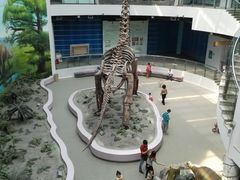 -辽宁古生物博物馆