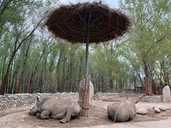 -北京野生动物园