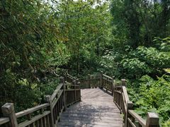 -仙海旅游度假区