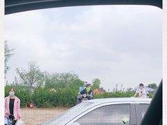 -秀丽东方