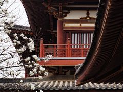 -西安青龙寺遗址景区