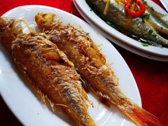 -蛇口康乐快餐鱼仔档(翠苑小区店)