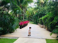 -三亚湾海居铂尔曼度假酒店