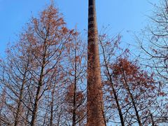 -祝甸砖窑文化馆