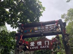 -呀诺达热带雨林