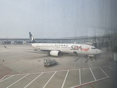 -青岛胶东国际机场