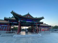 -莲花池公园