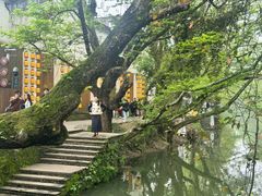 -西溪南古村落