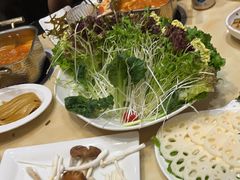-清真军邺·金富苑肥牛城(海湖新区精品店)