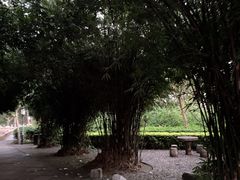 -鸿山公园