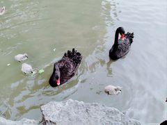 -洛阳市隋唐城遗址植物园