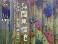-白洋淀景区