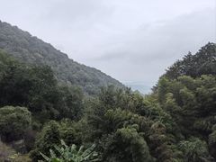 -韬光茶庵
