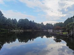 -四明山国家森林公园