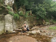 -老村长农家院