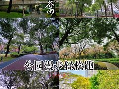 -文华公园(禅城区)