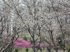 -堤角公园