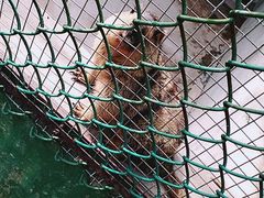 -广东茂名森林公园