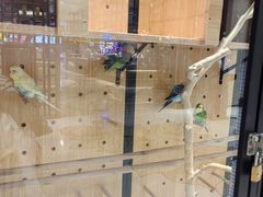 -太湖饭店玉兰厅(自助餐厅)