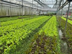-Ohkajhu Organic Farm Sansai