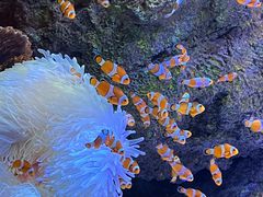 -沈阳海洋探索中心