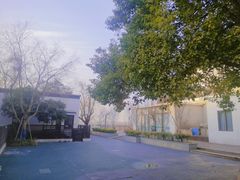 -朗诗常青藤养老(五马渡店)