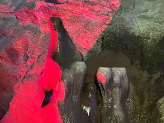-八奇洞景区