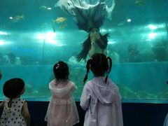 -苏州海洋馆
