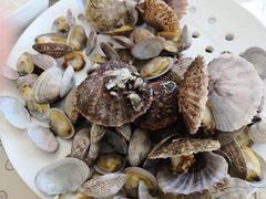 -港畔赶海蒸汽海鲜烧烤自助(仙螺岛店)