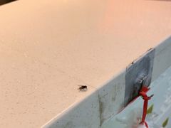 -武泰闸民生甜食馆