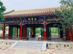 -武清南湖绿博园