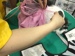 -神采飞扬宠物美容(香港路店)
