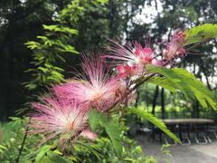 -箱美术馆私房菜(水晶郦城店)