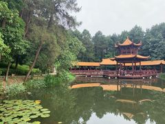 -铁山坪森林公园