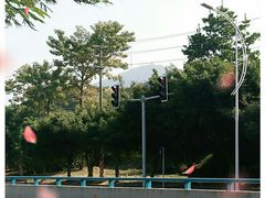 -水濂山森林公园