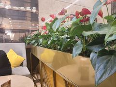 -逸派咖啡 EPARKCOFFEE(广安门店)