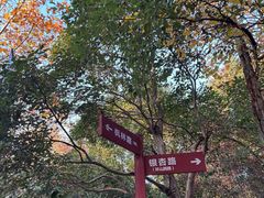-大蜀山国家森林公园